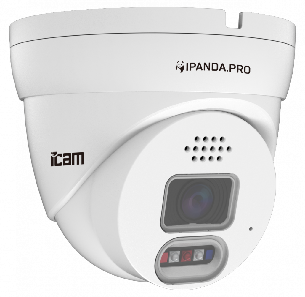 iCAM NightHawk FXD2WX :: Купольные уличные IP :: Сетевые IP Камеры. ТД  Русичи :: Видеокамеры :: Видеонаблюдение